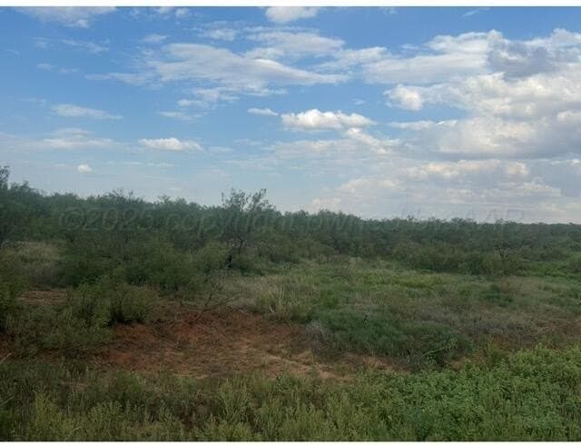 80 acres in Texas County