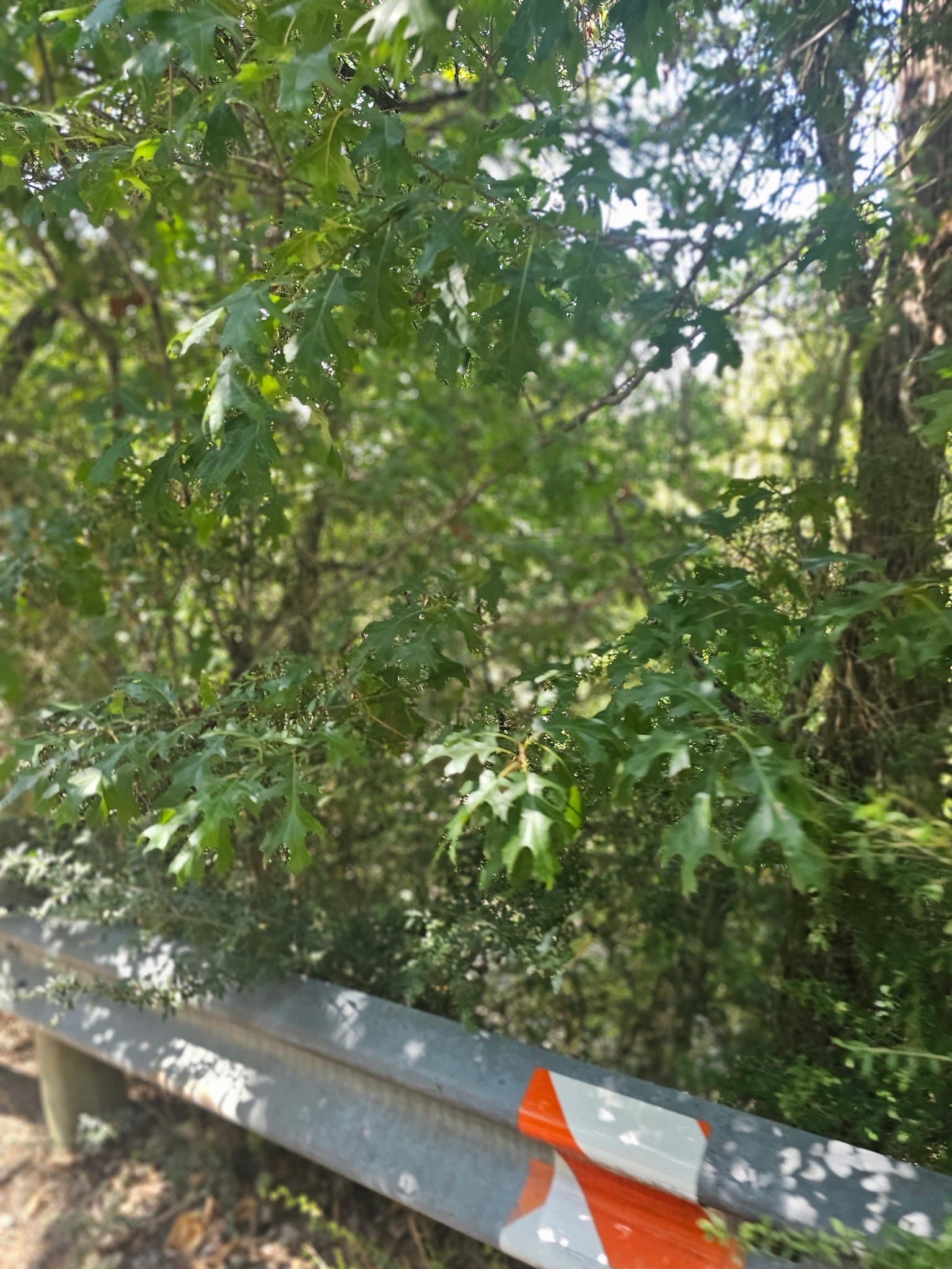 2.57 acres in Dallas County