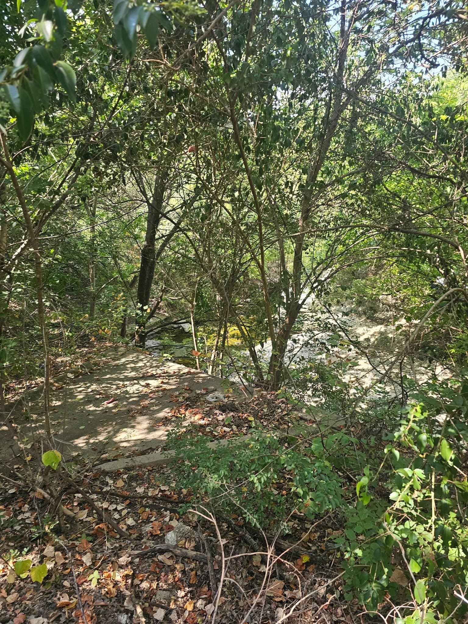 2.57 acres in Dallas County - photo 3