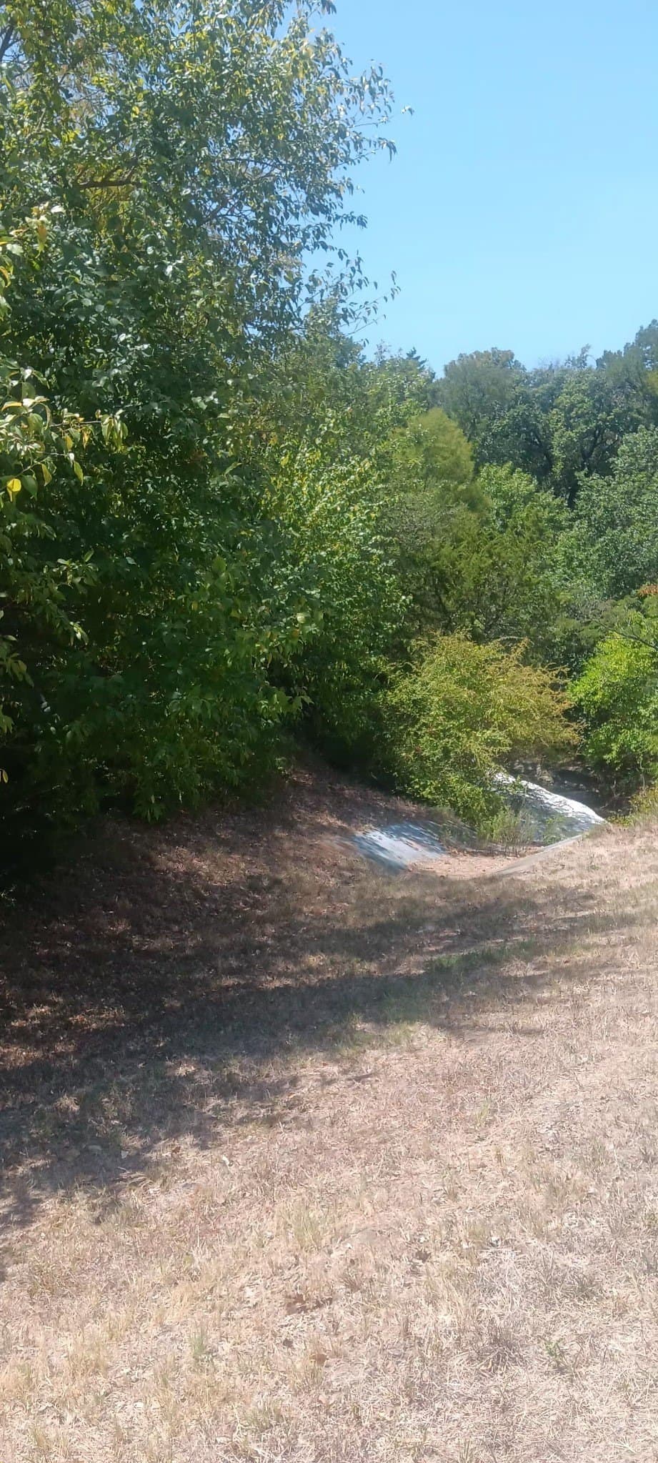 2.57 acres in Dallas County - photo 4