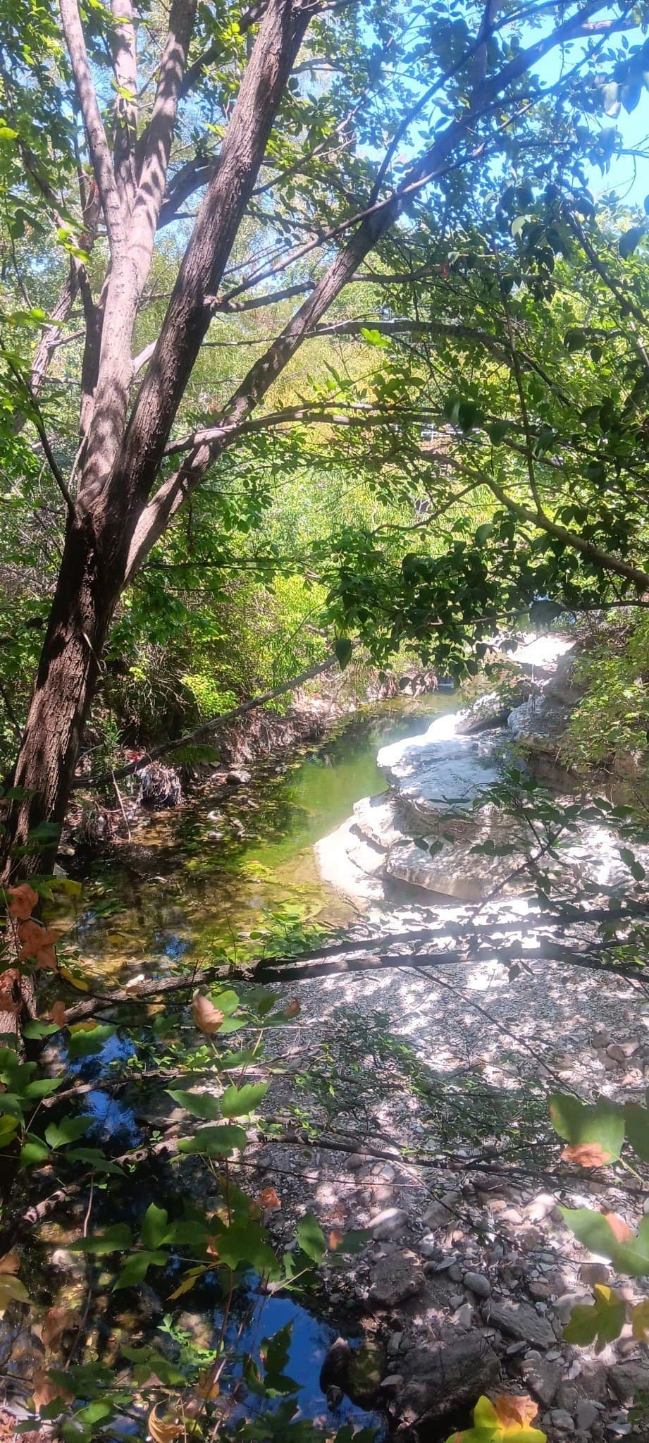 2.57 acres in Dallas County - photo 5