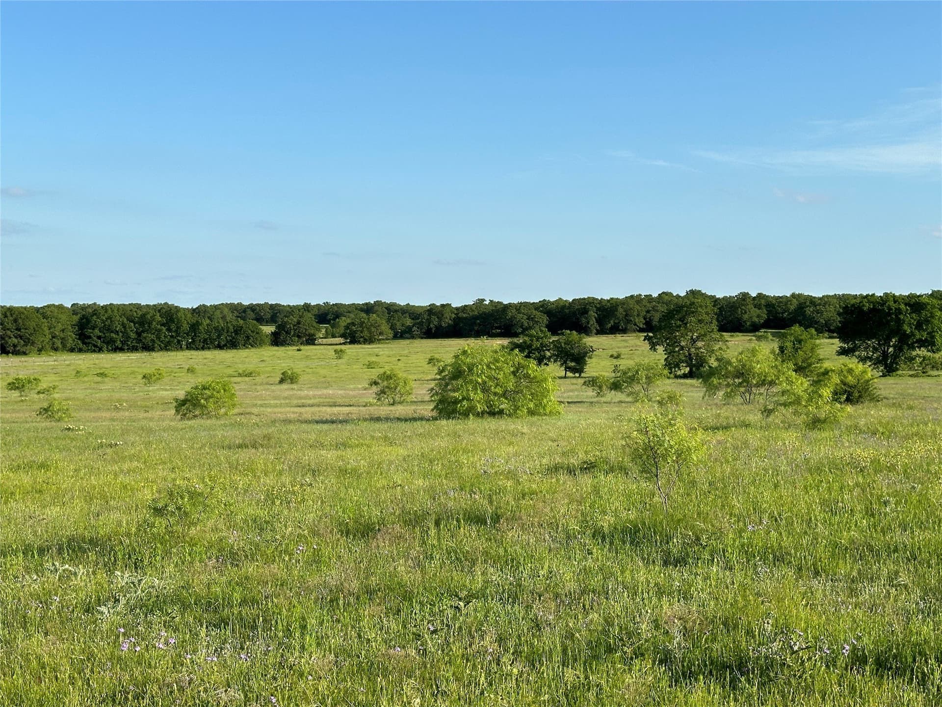 47.97 acres in Wise County - photo 9