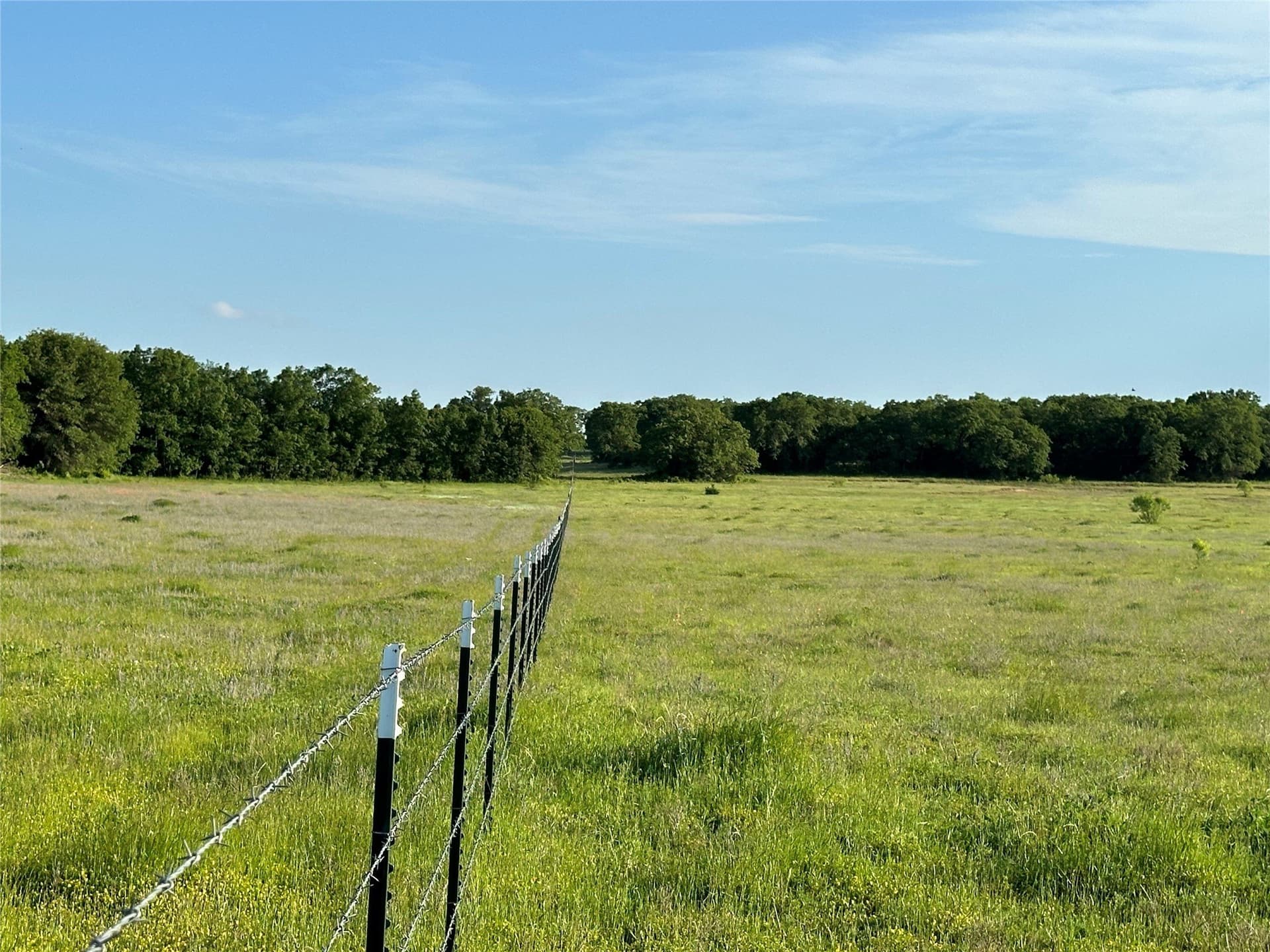 47.97 acres in Wise County - photo 12