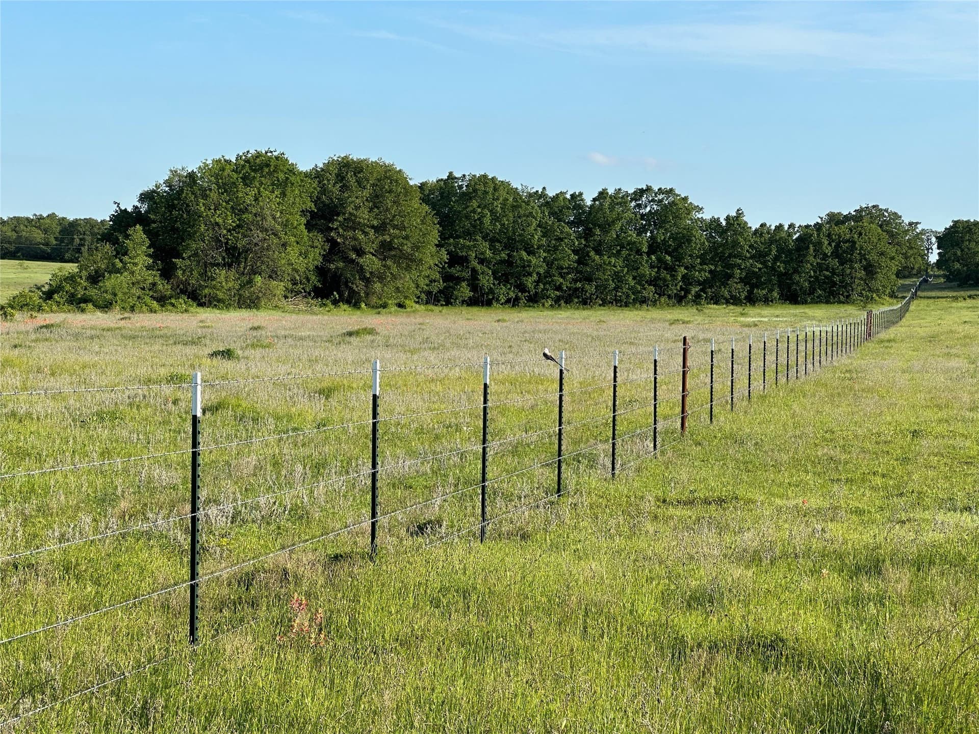 47.97 acres in Wise County - photo 13