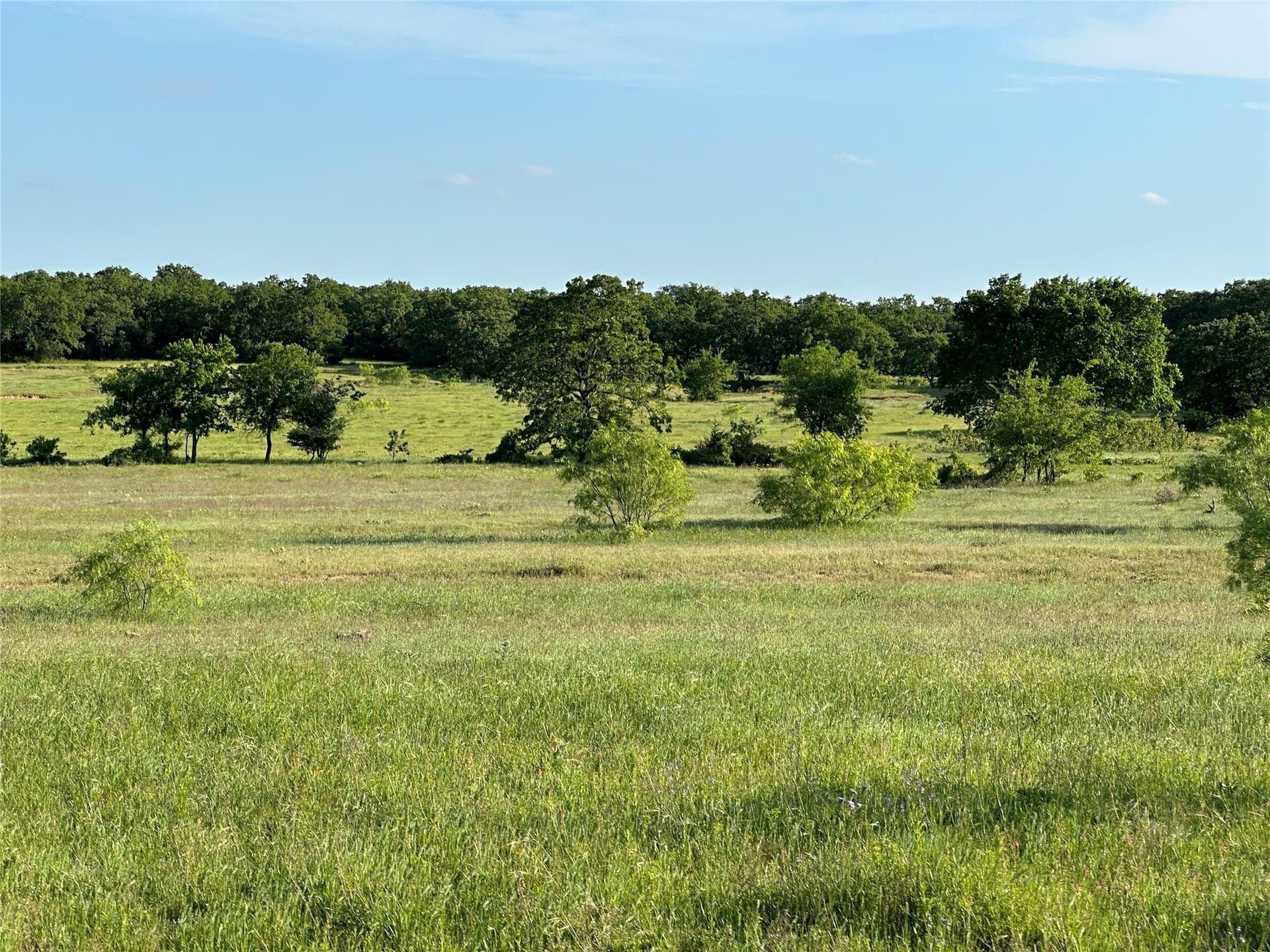 47.97 acres in Wise County - photo 10