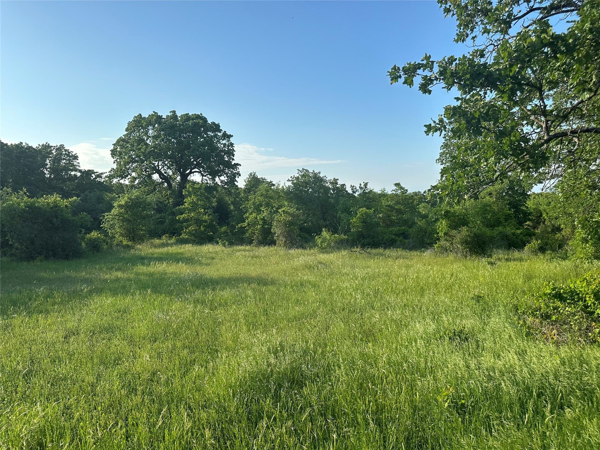 47.97 acres in Wise County - photo 20