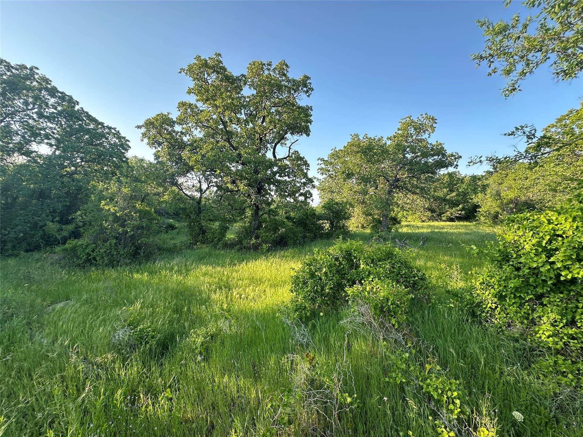 47.97 acres in Wise County - photo 21
