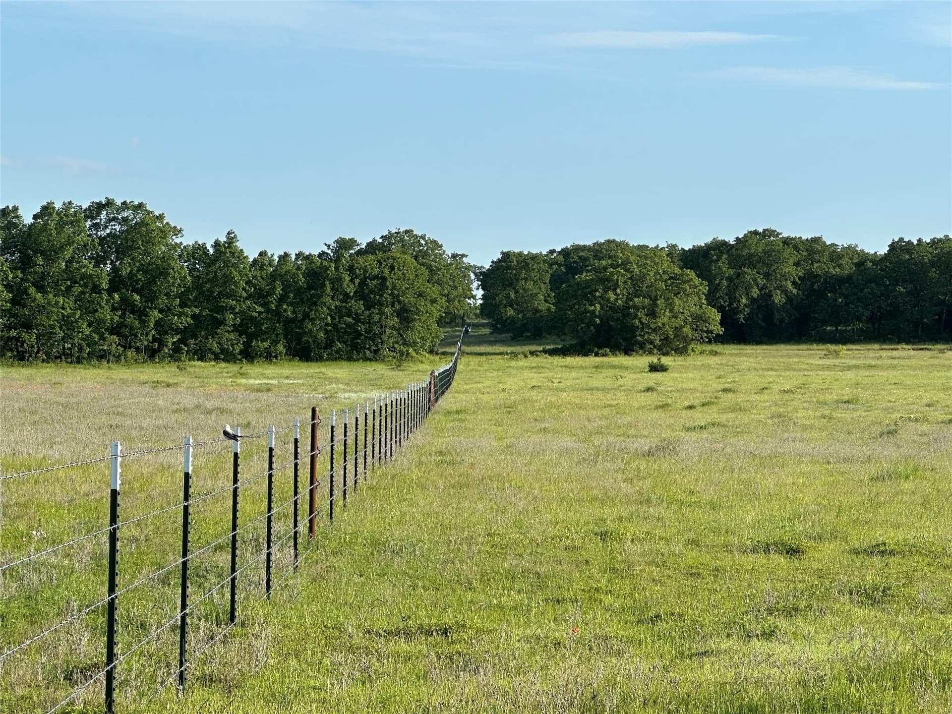47.97 acres in Wise County - photo 14