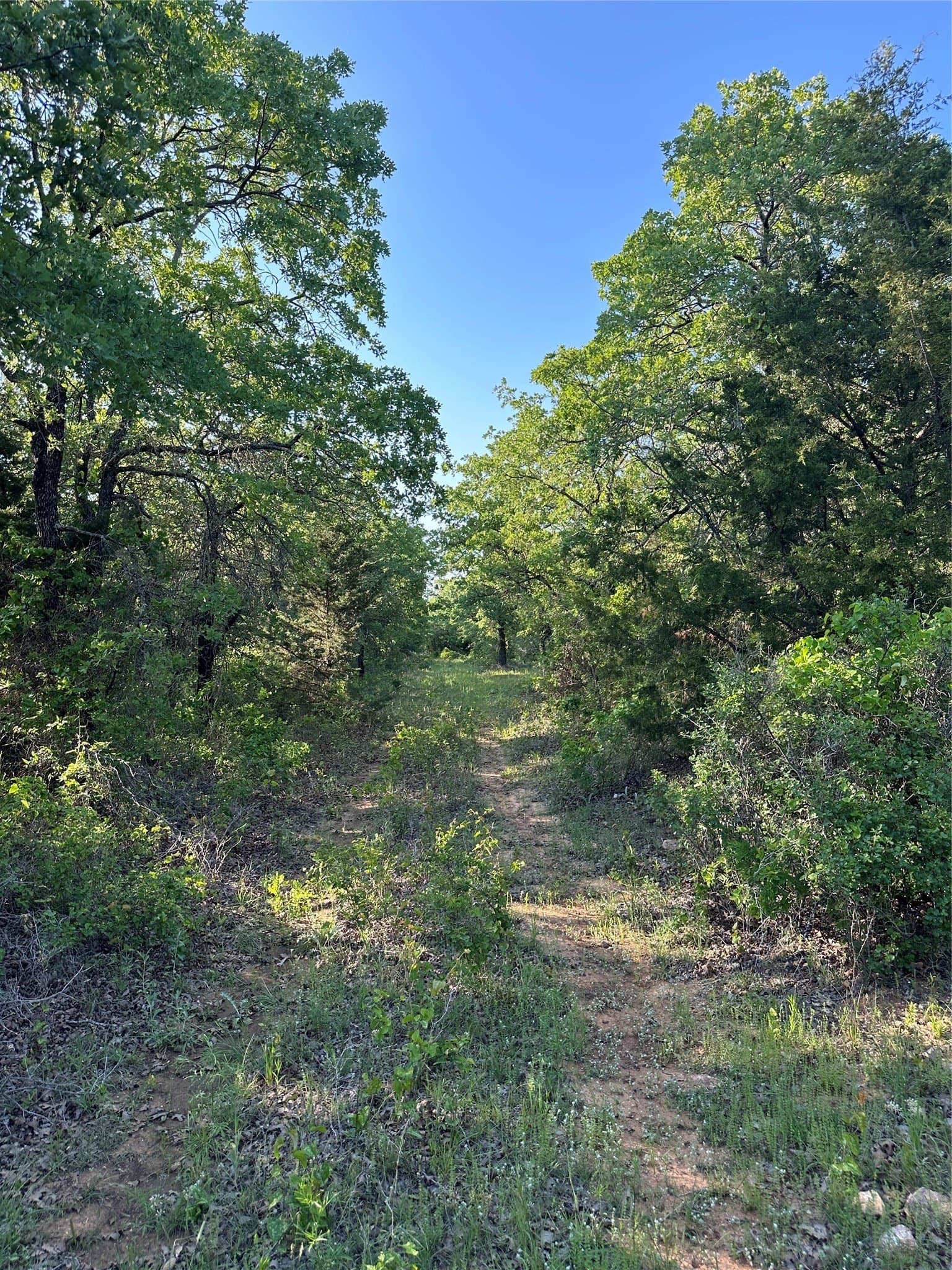 47.97 acres in Wise County - photo 22