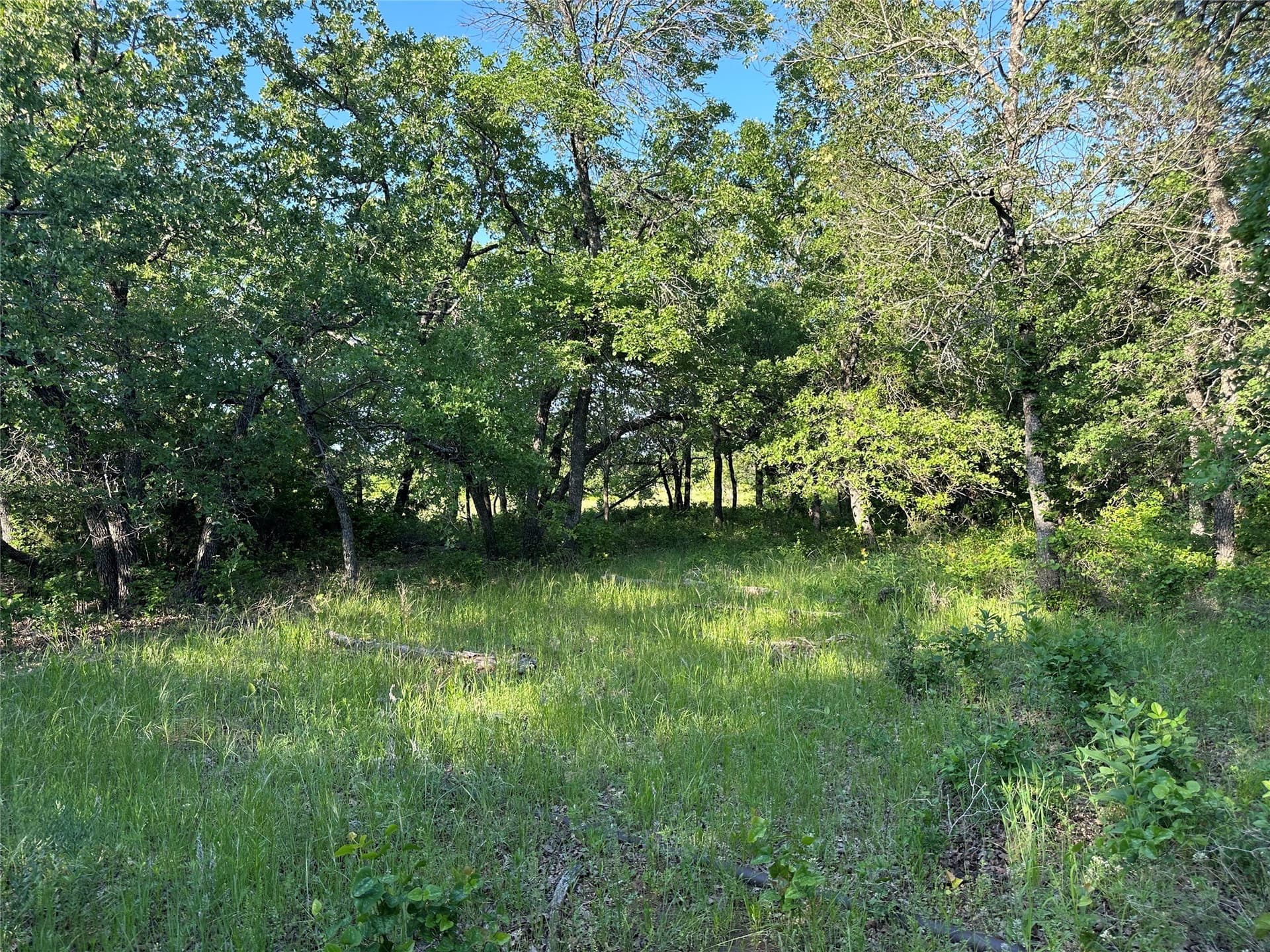 47.97 acres in Wise County gallery image 2