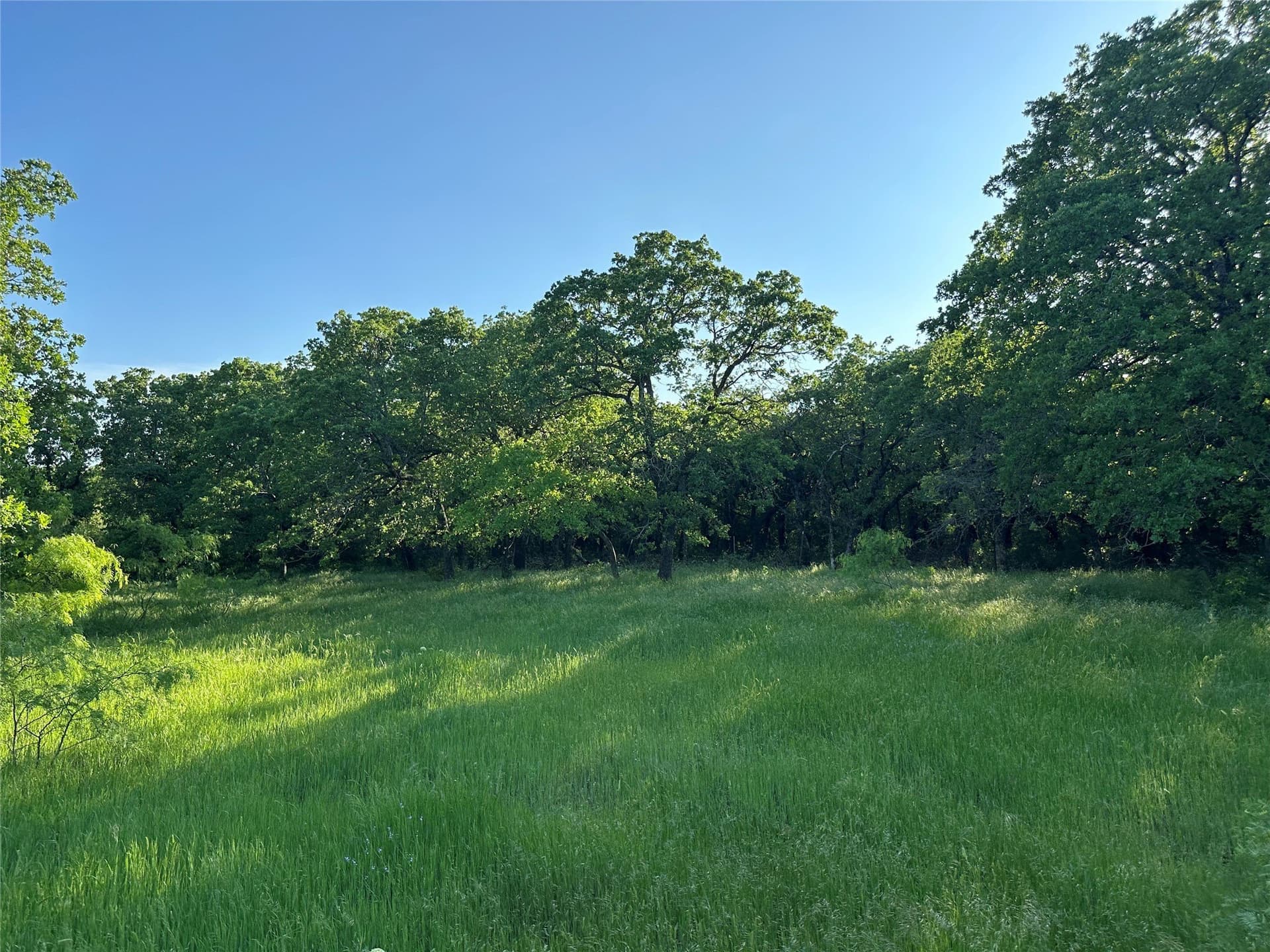 47.97 acres in Wise County - photo 7