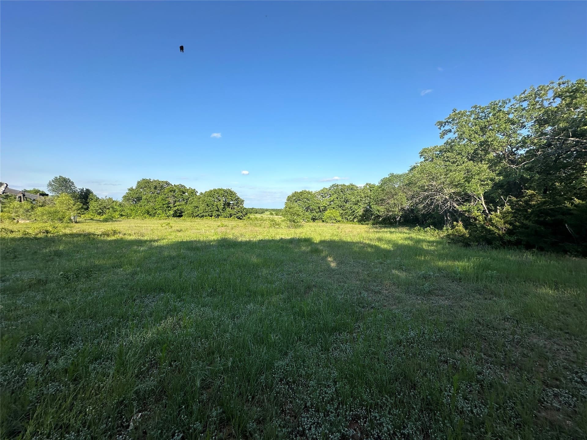 47.97 acres in Wise County