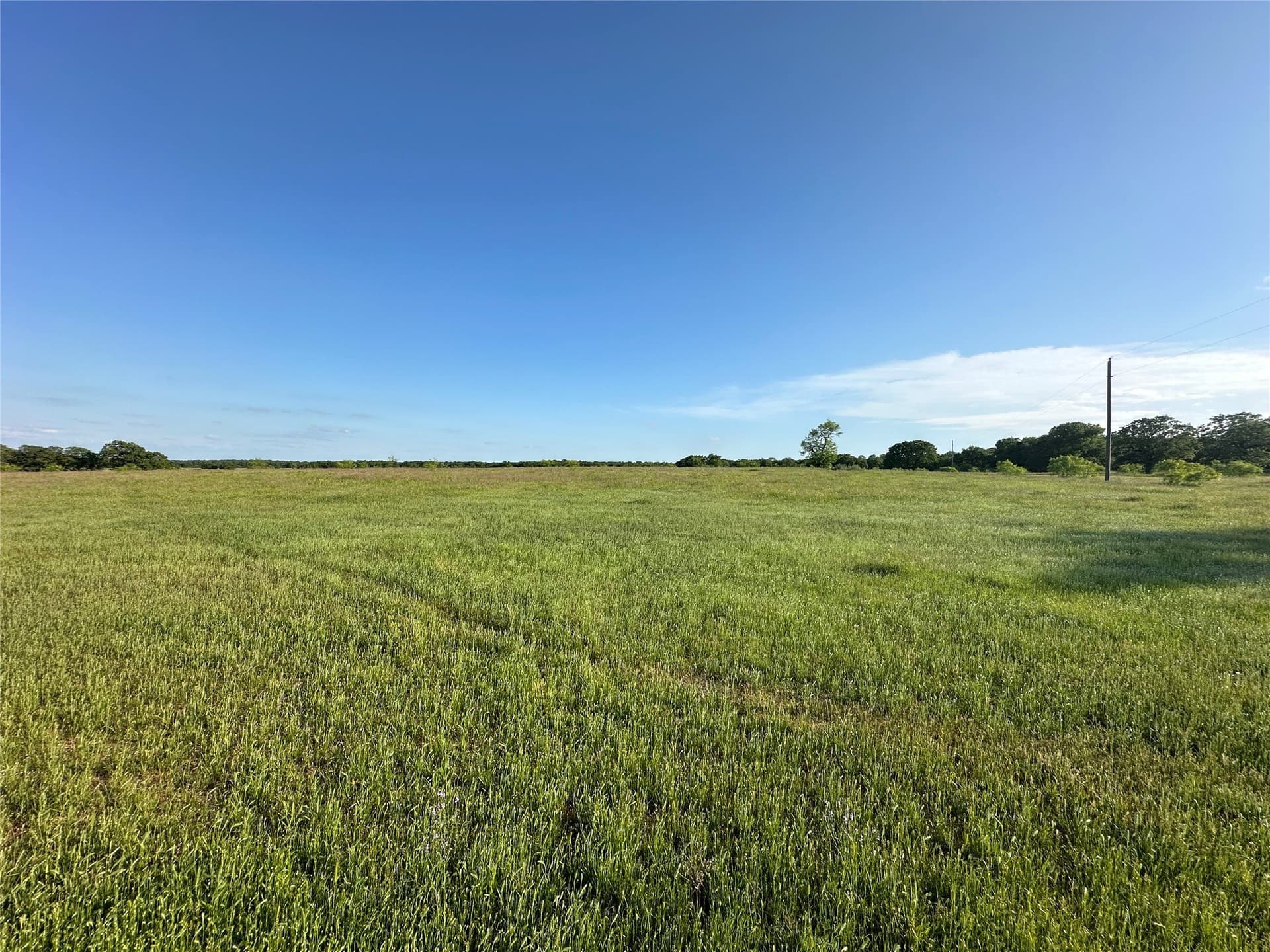 47.97 acres in Wise County - photo 8