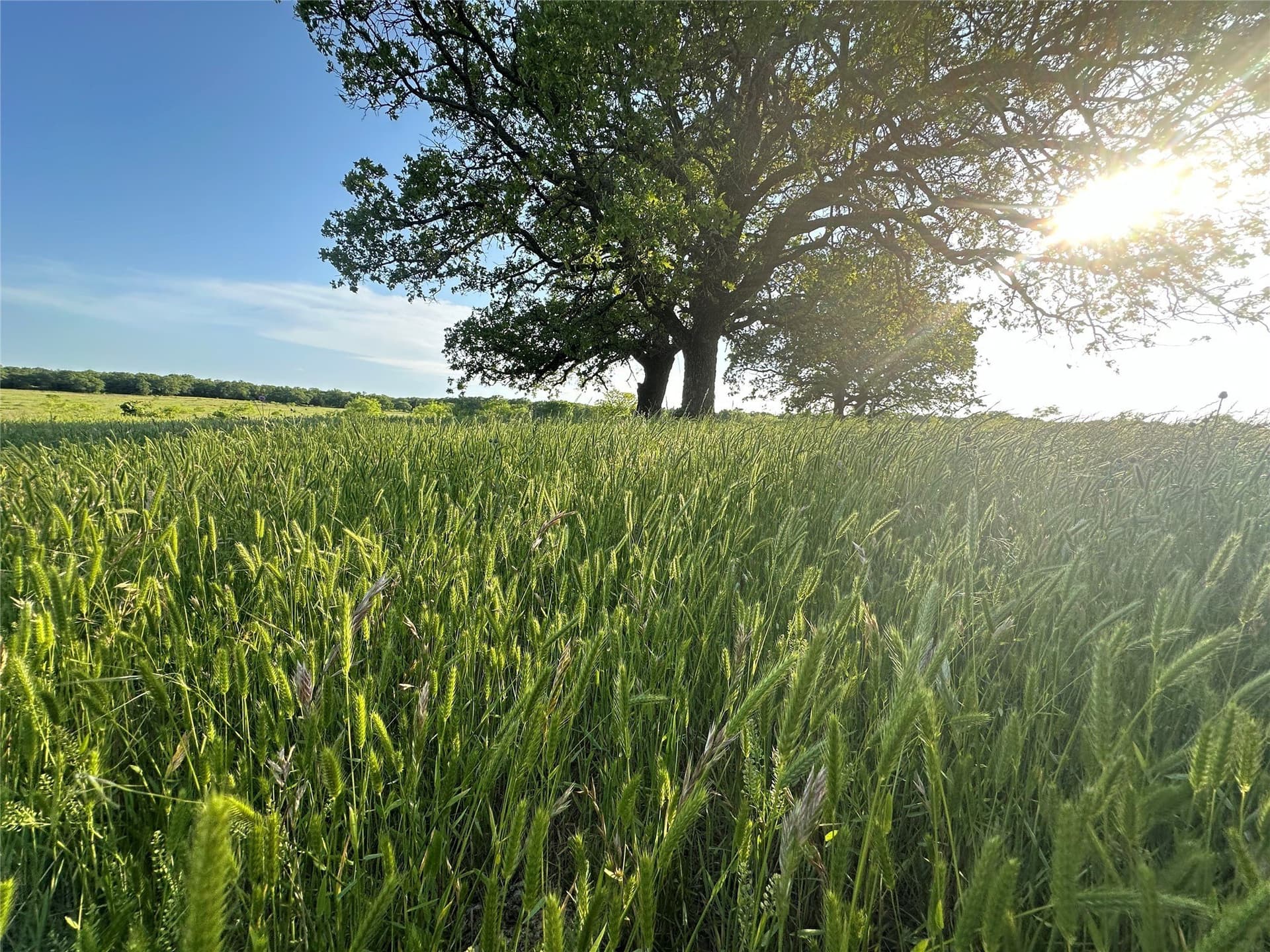47.97 acres in Wise County - photo 11