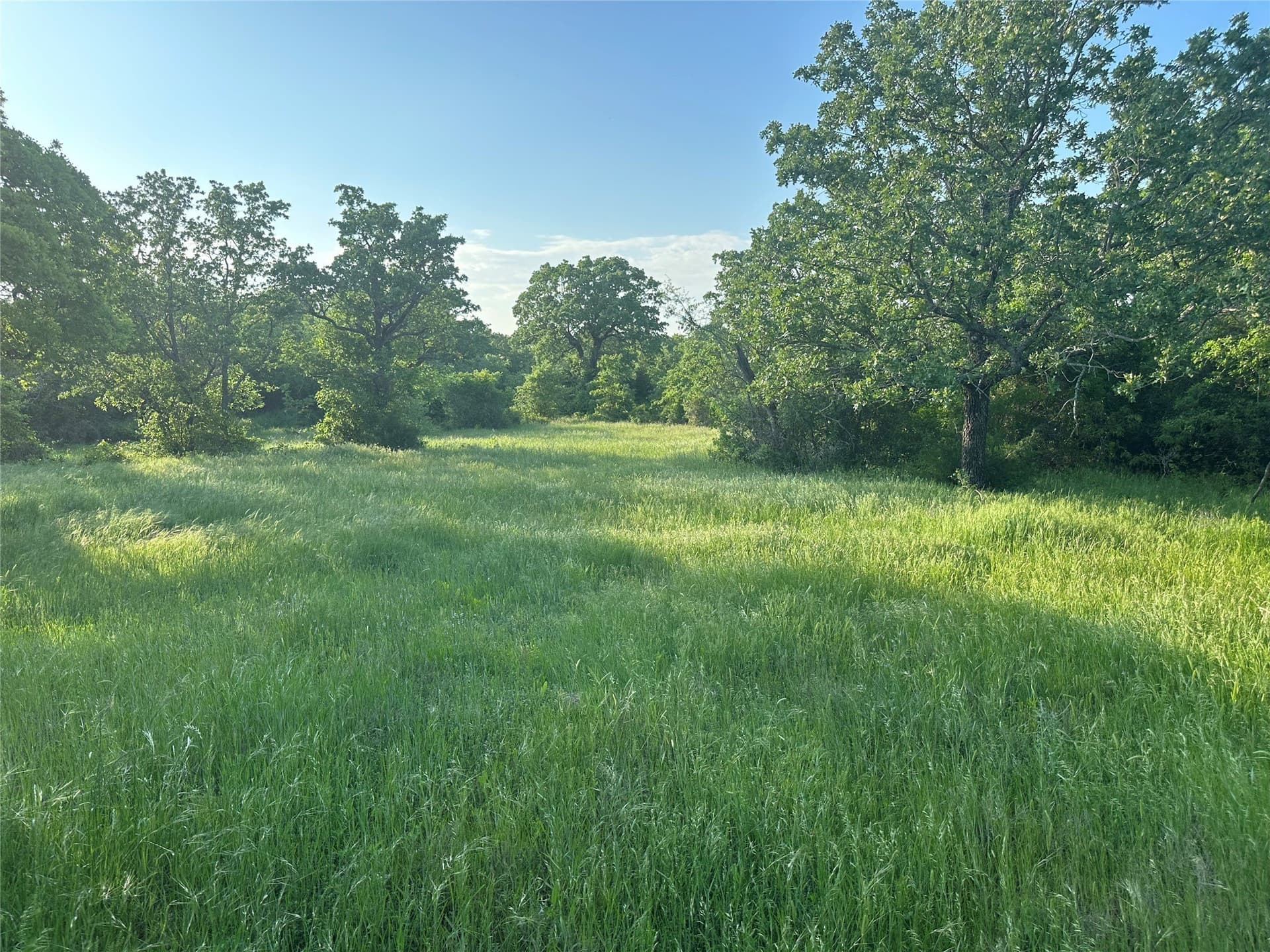 47.97 acres in Wise County - photo 19