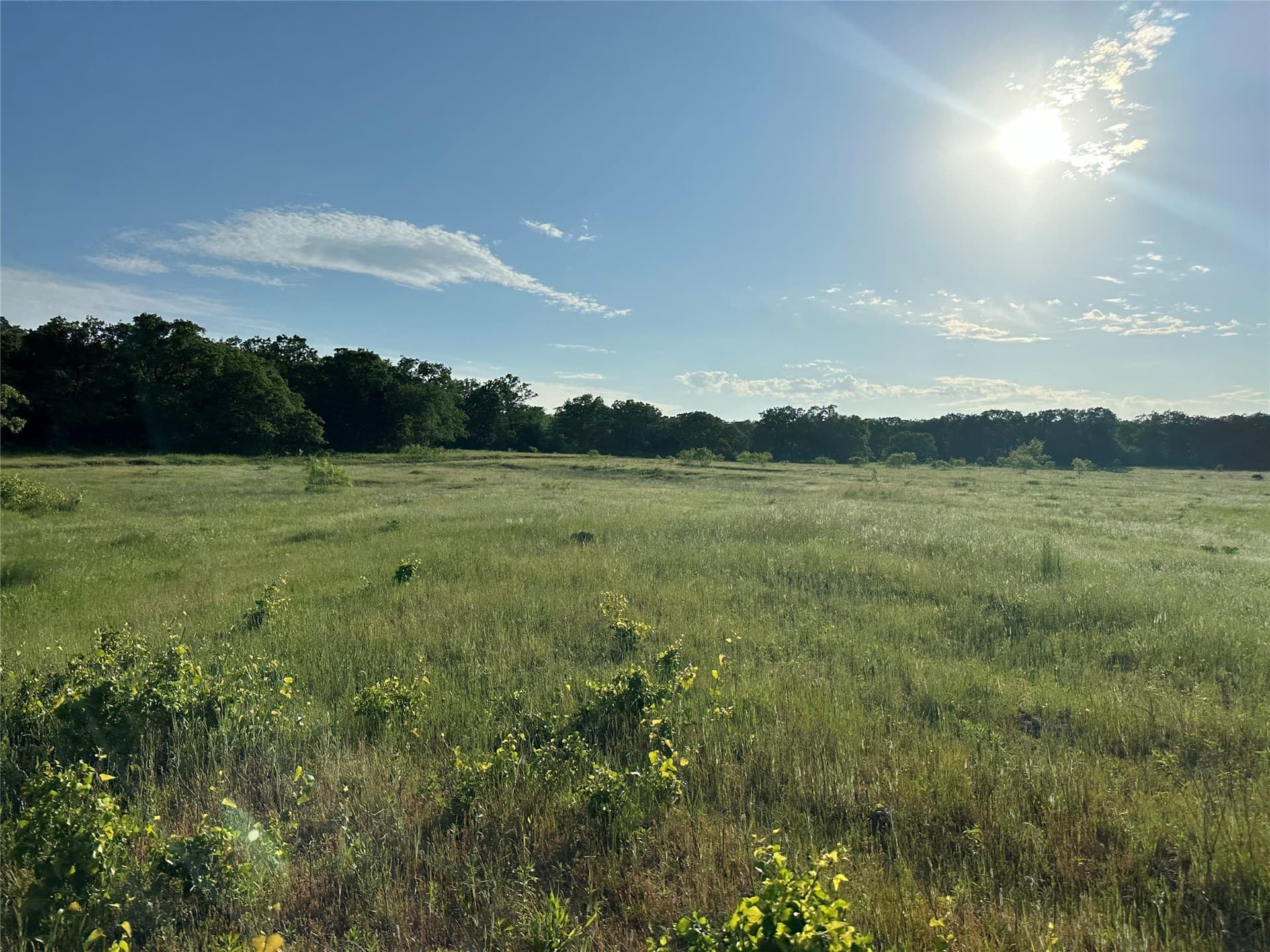47.97 acres in Wise County - photo 16