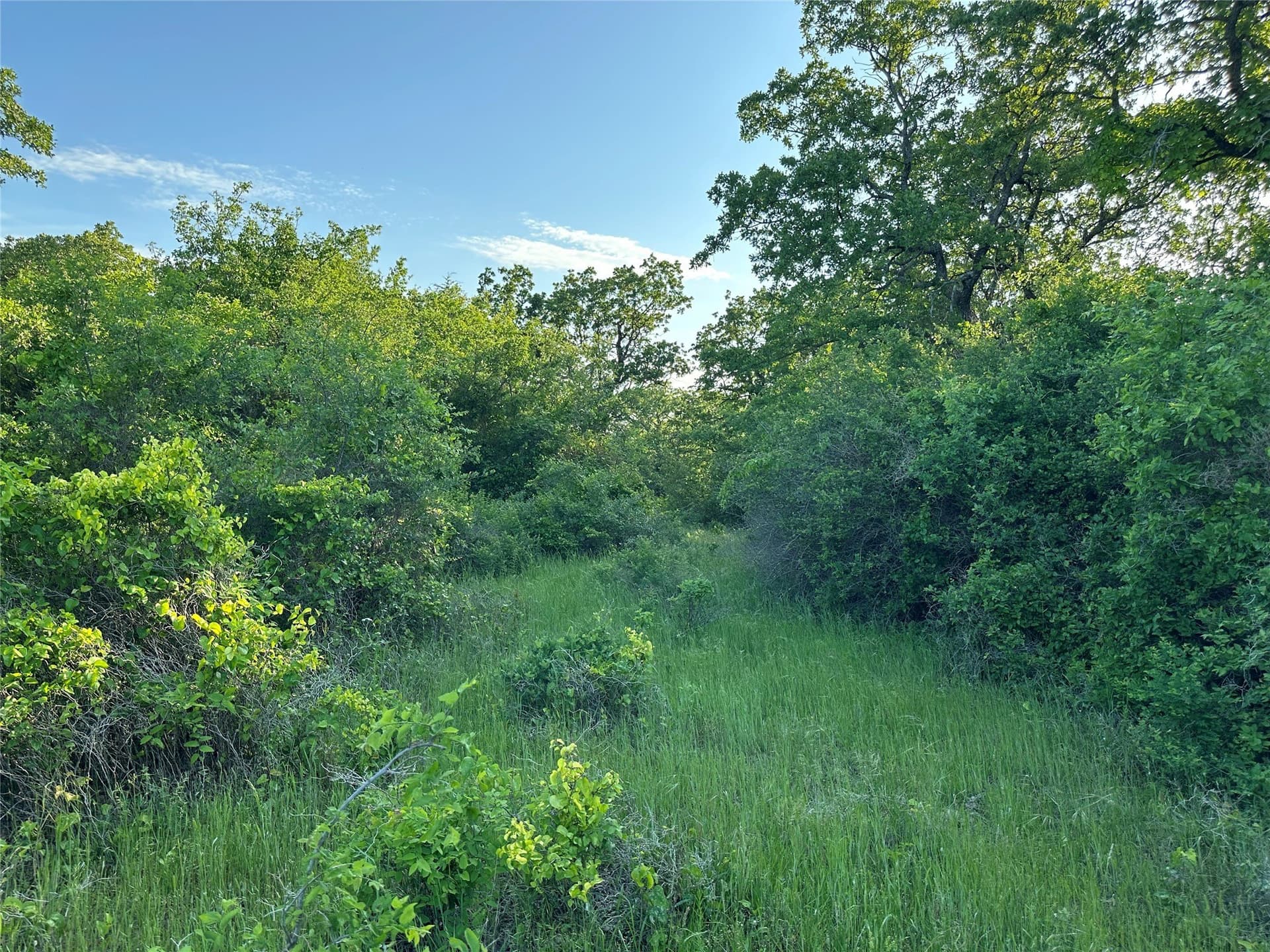 47.97 acres in Wise County - photo 17