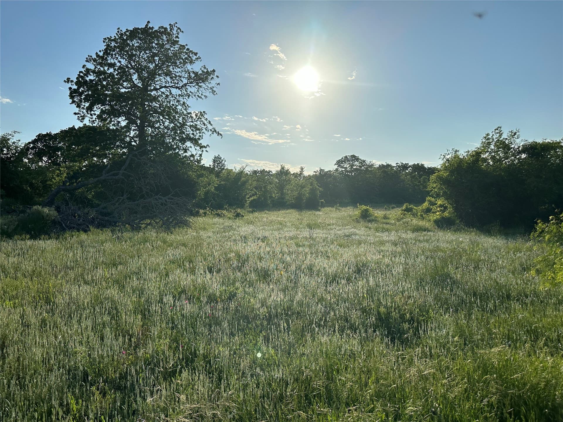47.97 acres in Wise County - photo 18