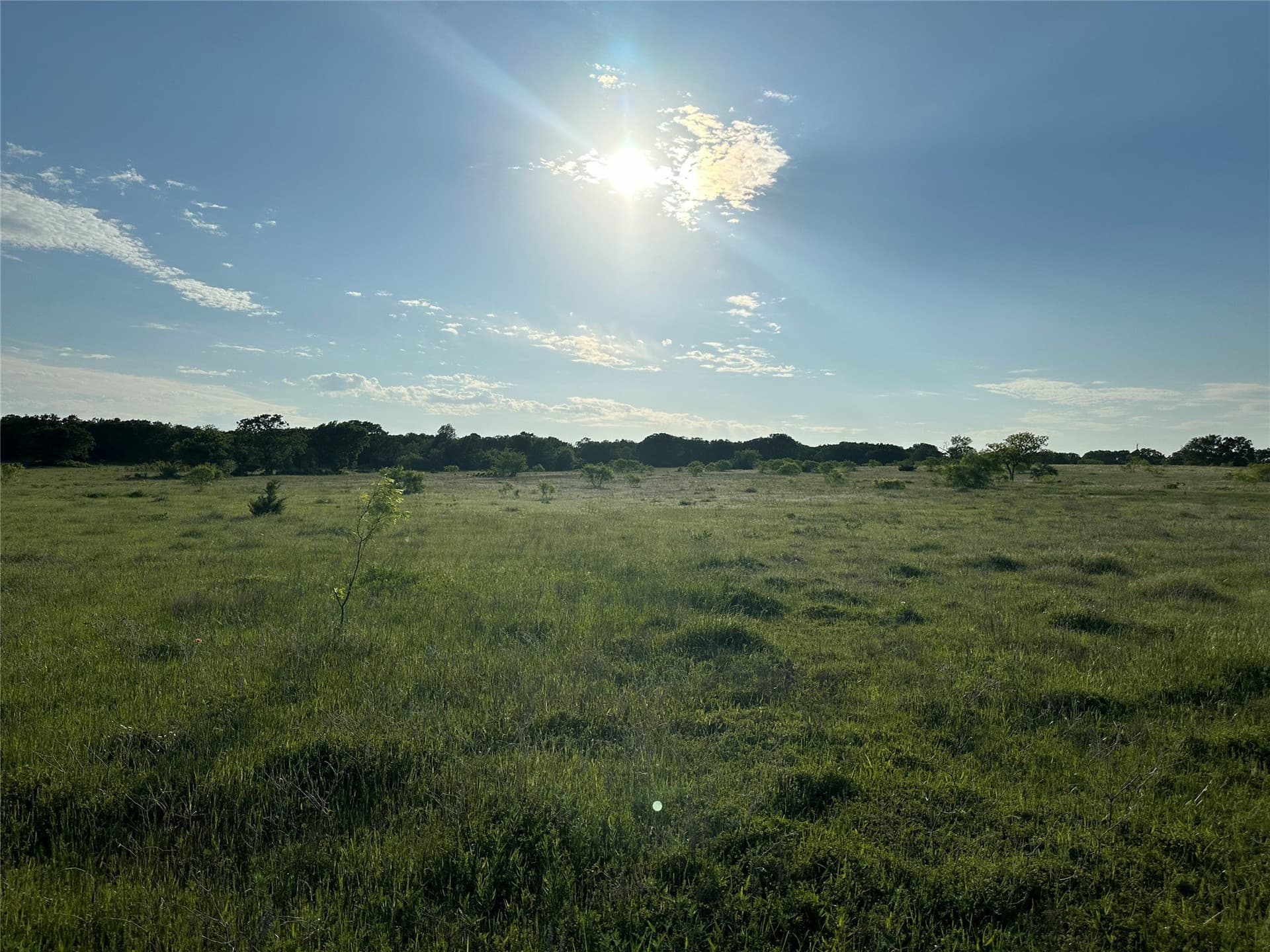 47.97 acres in Wise County - photo 15