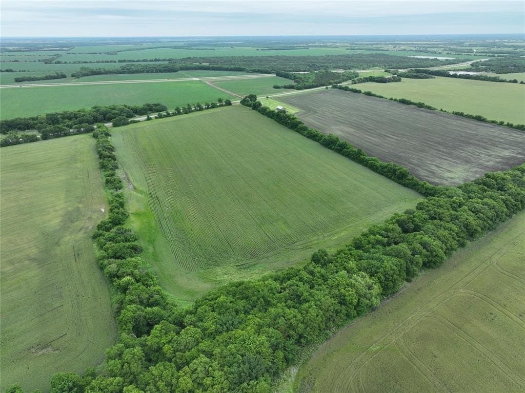 27 acres in Fannin County gallery image 4
