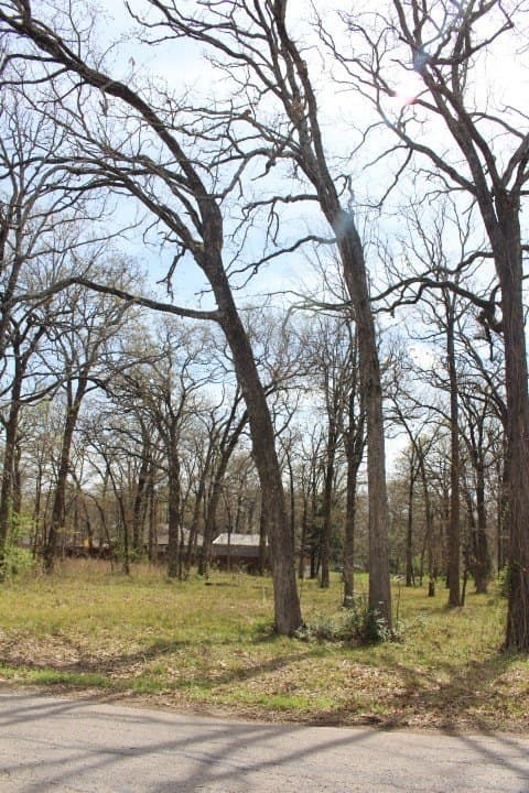 0.26 acres in Henderson County gallery image 2