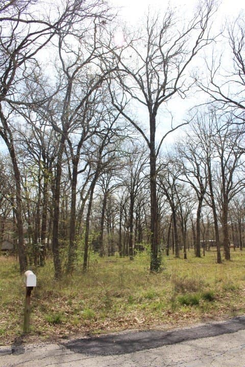 0.26 acres in Henderson County gallery image 4