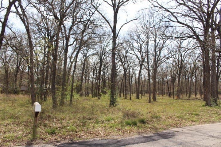 0.26 acres in Henderson County gallery image 3