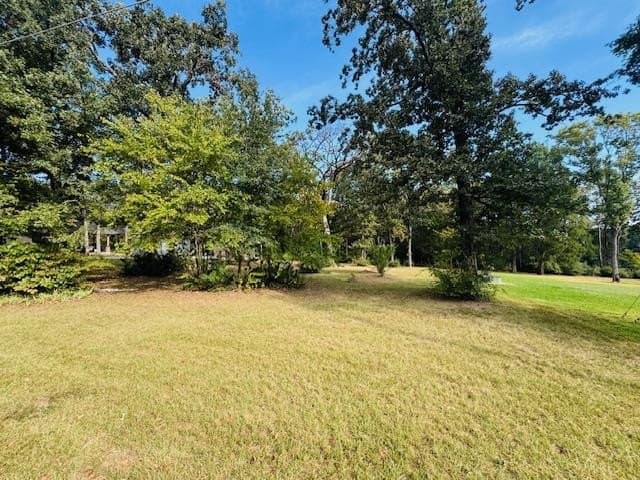 0.38 acres in Henderson County - photo 8