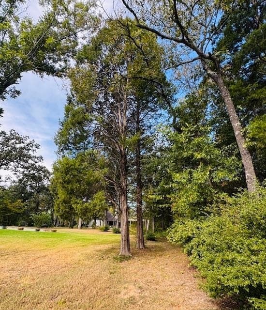 0.38 acres in Henderson County - photo 13