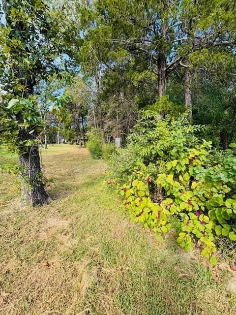 0.38 acres in Henderson County - photo 17