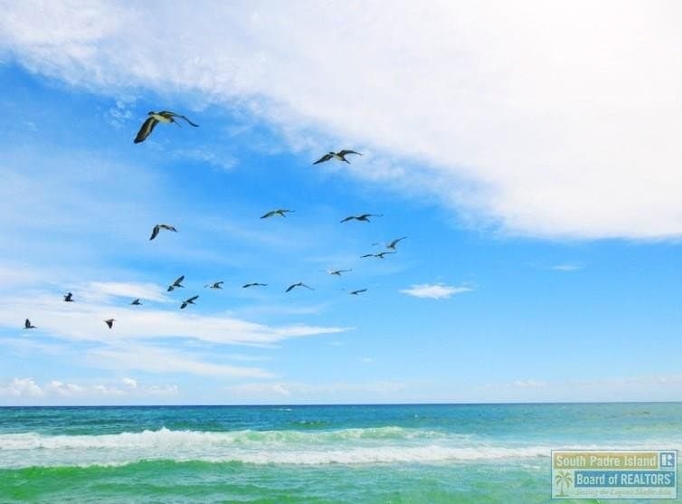 25 acres in Cameron County - photo 22