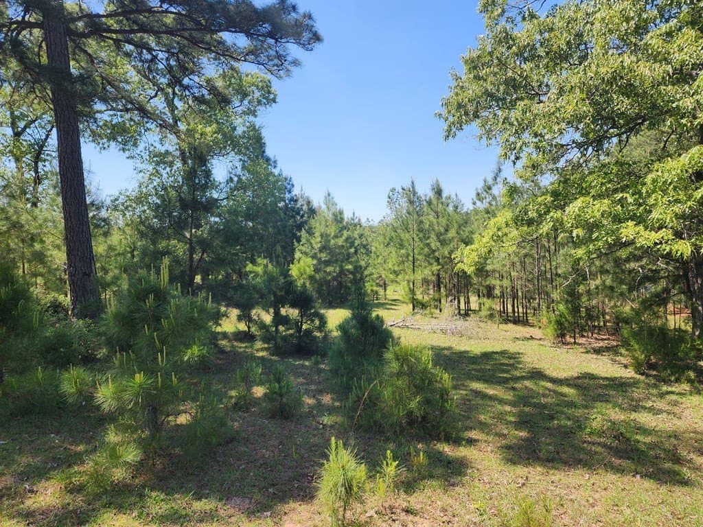 9 acres in Texas County - photo 20