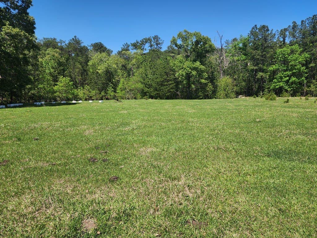 9 acres in Texas County - photo 7