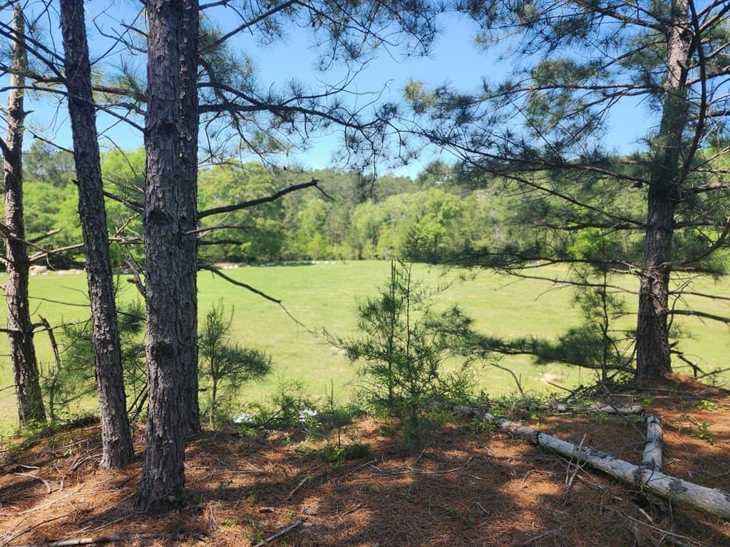 9 acres in Texas County - photo 12
