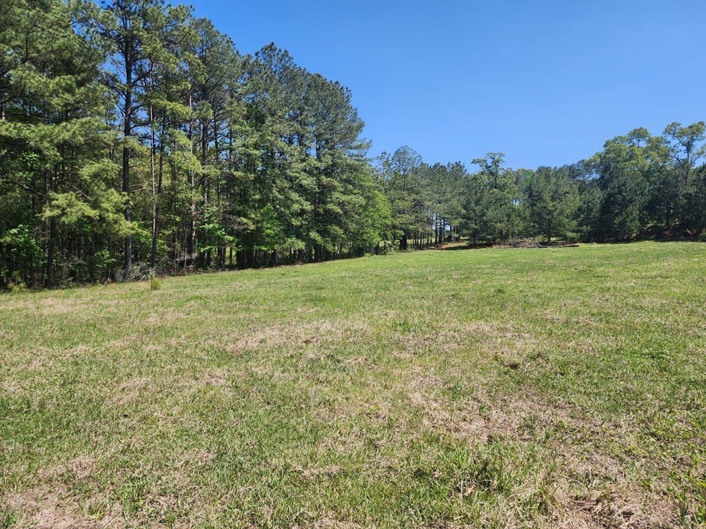 9 acres in Texas County - photo 8