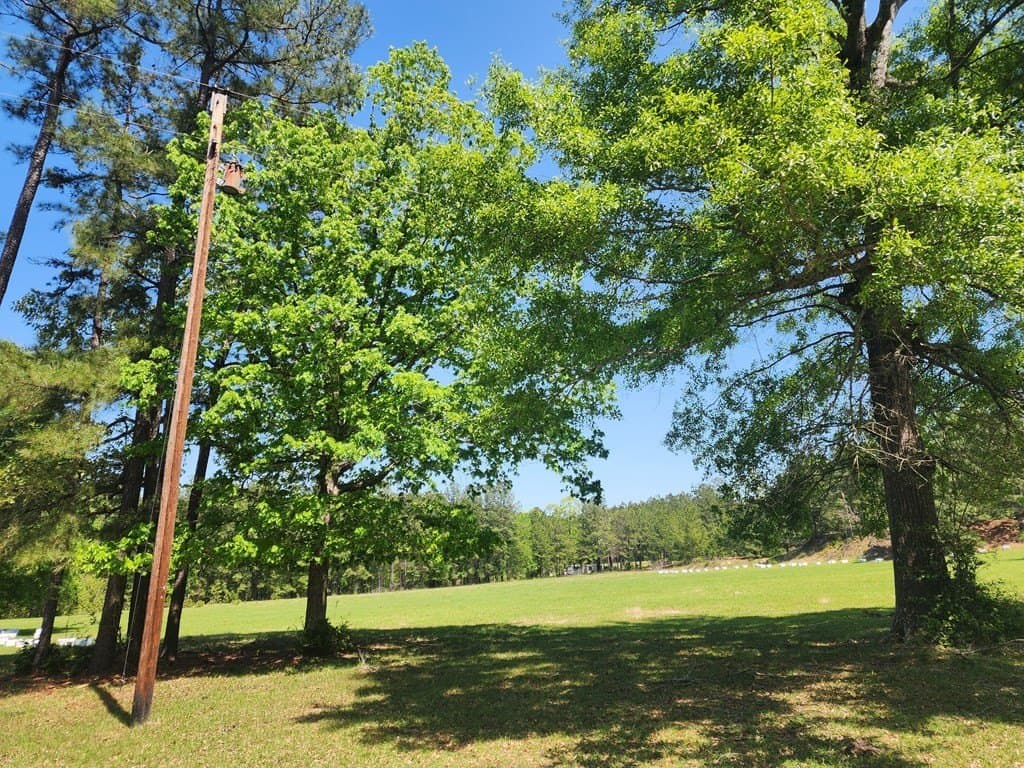 9 acres in Texas County featured view