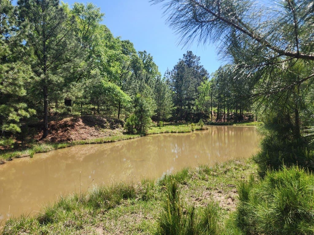 9 acres in Texas County gallery image 2
