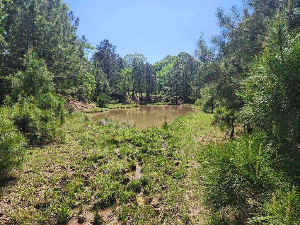 9 acres in Texas County - photo 11