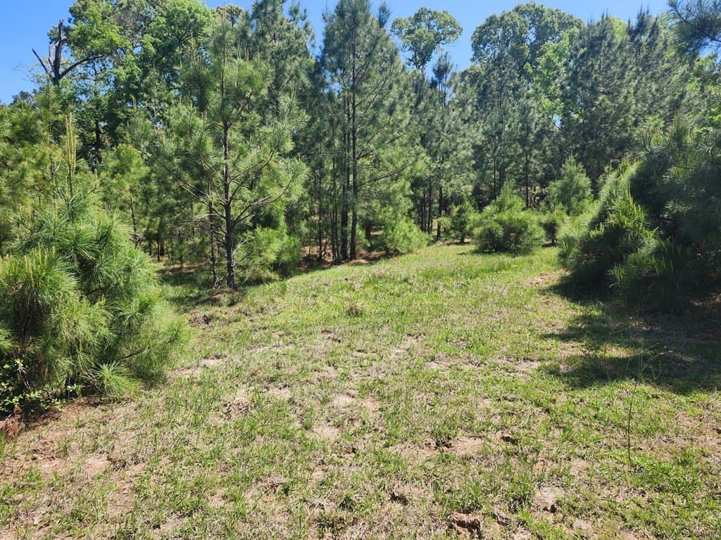 9 acres in Texas County - photo 10