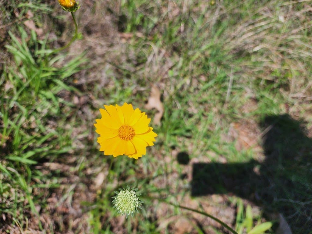 9 acres in Texas County - photo 21