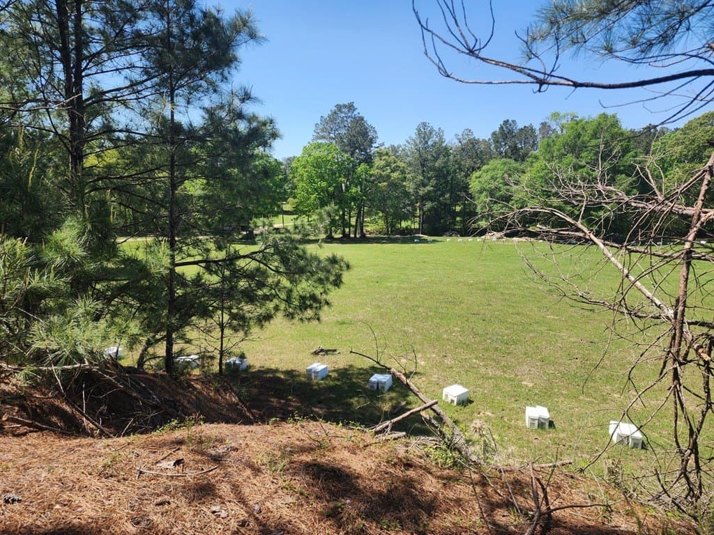 9 acres in Texas County gallery image 3