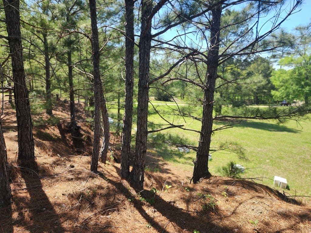 9 acres in Texas County - photo 13