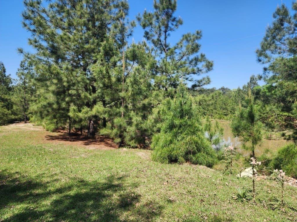 9 acres in Texas County - photo 17