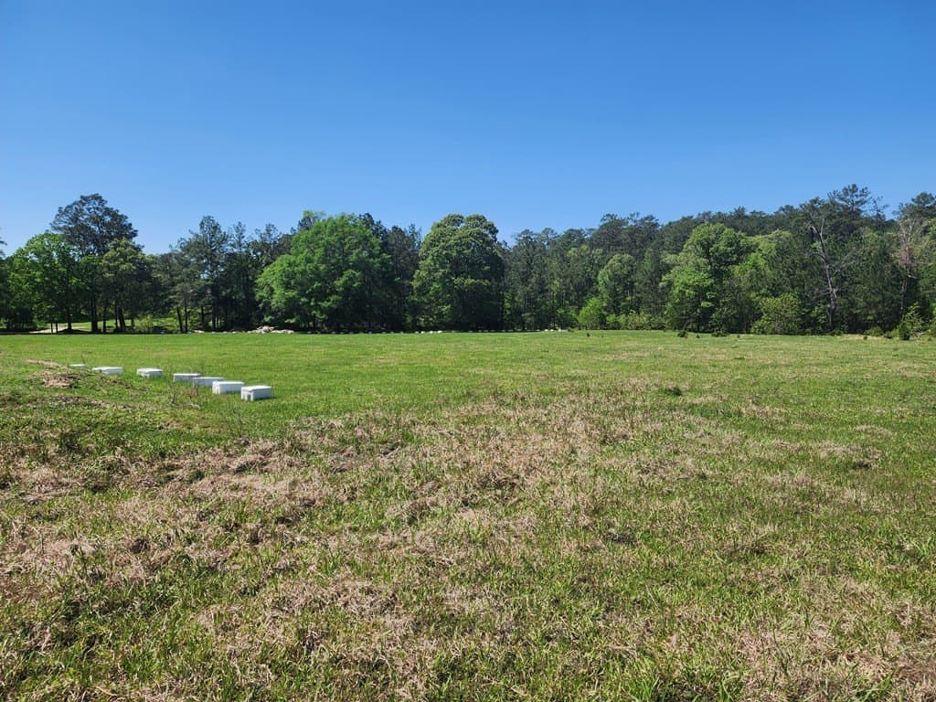9 acres in Texas County - photo 9
