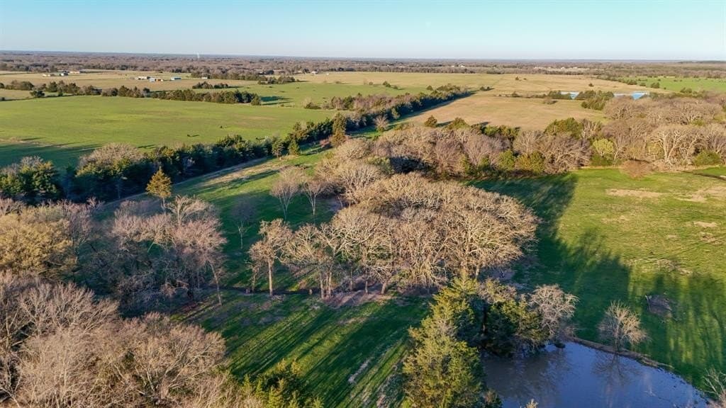 25 acres in Fannin County gallery image 4