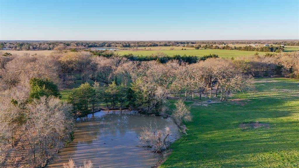 25 acres in Fannin County gallery image 2