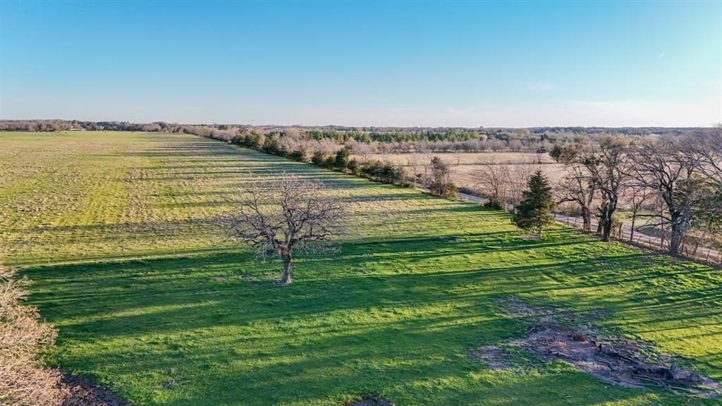 25 acres in Fannin County gallery image 3