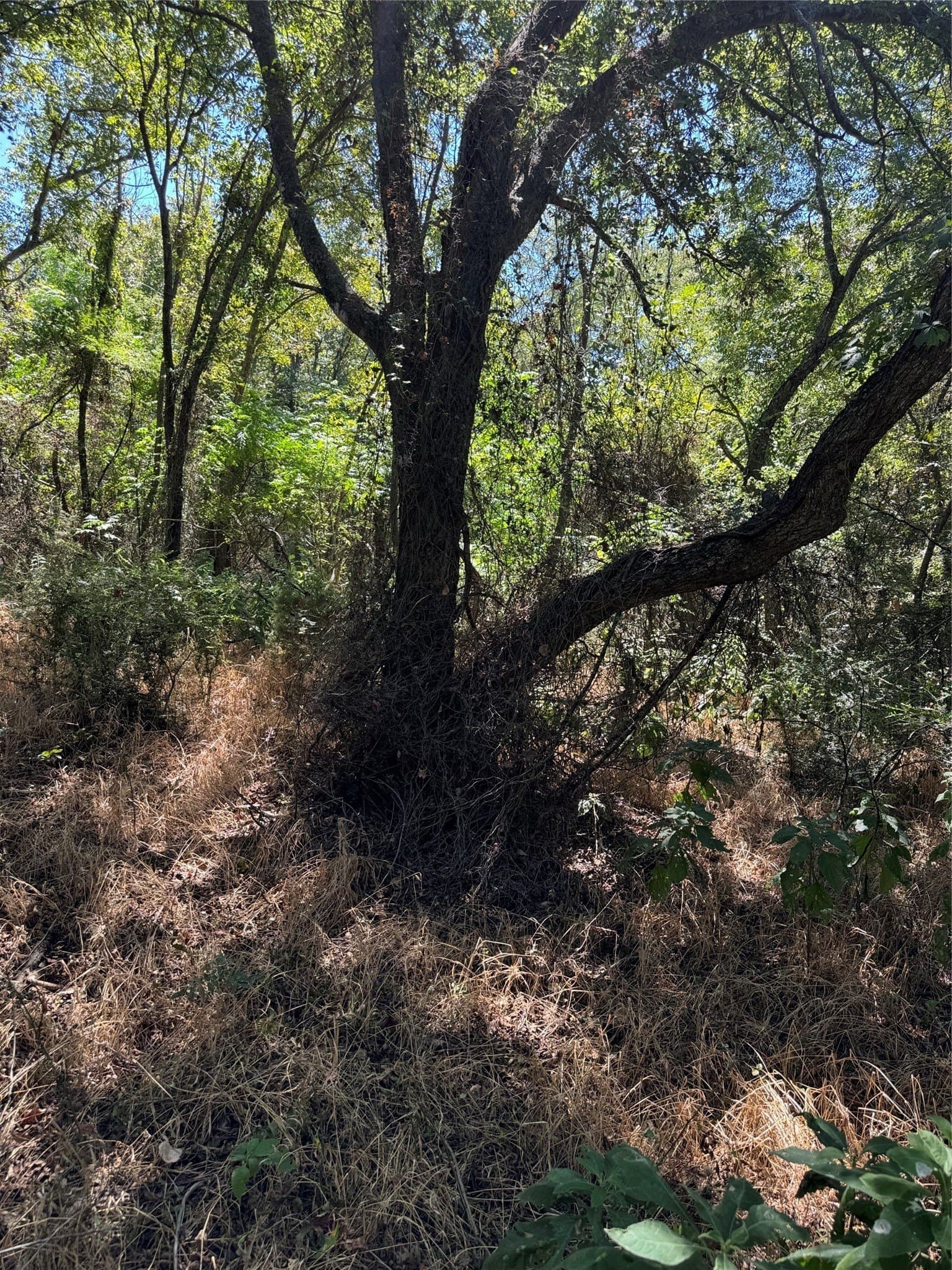 0.43 acres in Hill County featured view