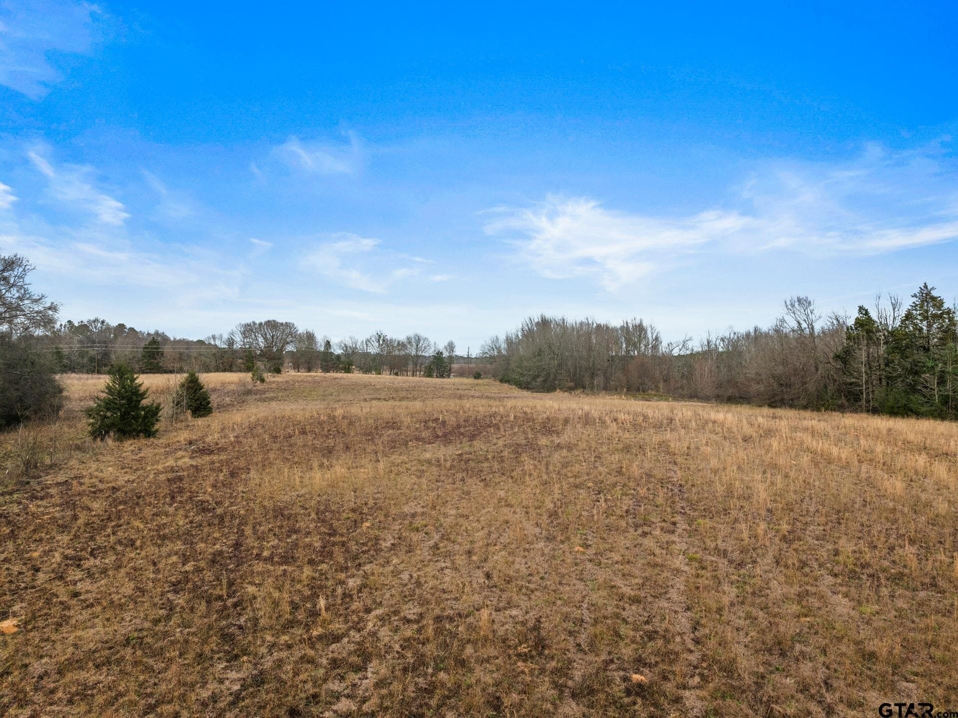 51 acres in Camp County - photo 8