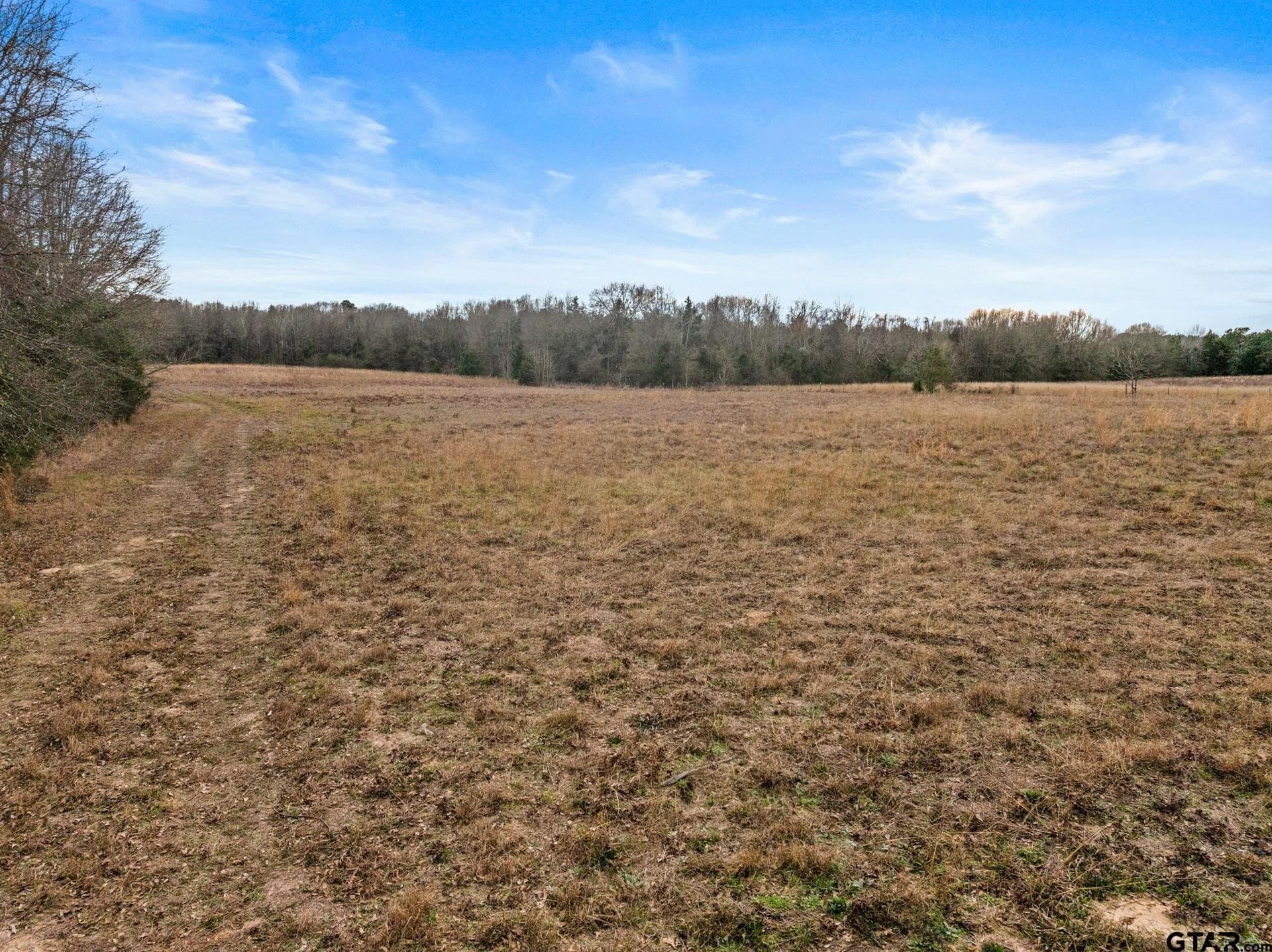 51 acres in Camp County - photo 6